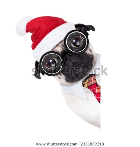 dumb crazy pug dog with nerd glasses as an office business worker, isolated on white background, on christmas holidays vacation with santa claus hat , behind empty banner or placard