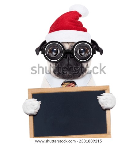 dumb crazy pug dog with nerd glasses as an office business worker, isolated on white background, on christmas holidays vacation with santa claus hat , holding a banner or placard