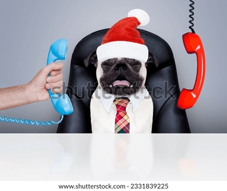 office businessman pug dog as boss and chef , busy and burnout , sitting on leather chair and desk, telephones hanging around, on christmas holidays vacation with santa claus hat