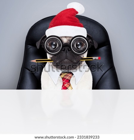 office businessman pug dog as boss and chef , busy and burnout , sitting on leather chair and desk, in need for vacation, on christmas holidays with santa claus hat