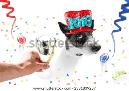 poodle dog celebrating new years eve with owner and champagne glass isolated on white background , serpentine streamers and confetti