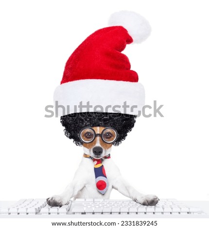 crazy jack russell dog with nerd glasses as an office business worker, isolated on white background, on christmas holidays vacation with santa claus hat