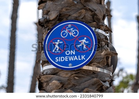 No biking, no skatebording, no rollerblading on sidewalk sign. Blue, round sign on a palm tree. Cloudy day. Blurry background