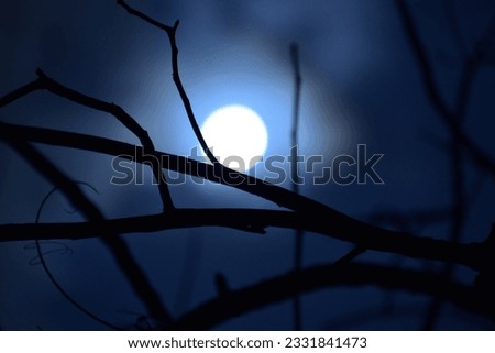 Full moon - scenic full moon sky photography