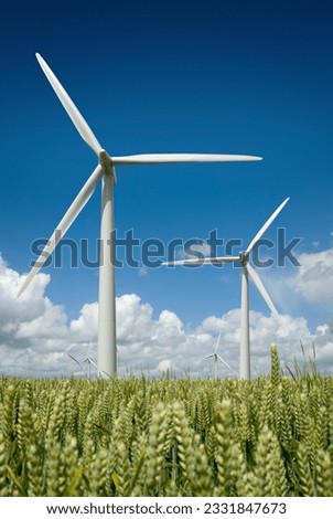 Wind turbine farm against a summer blue sky.