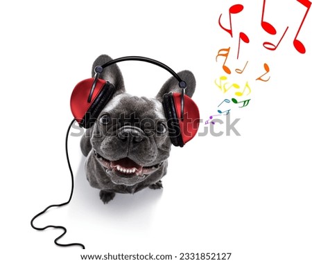 cool dj french bulldog dog listening or singing to music with headphones and mp3 player, notes all around, isolated on white background