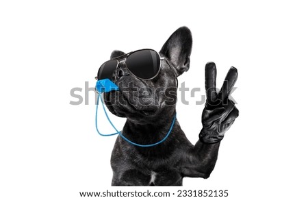 referee arbitrator umpire french bulldog dog blowing blue whistle in mouth whit peace or victory fingers , isolated on white background