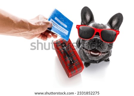 holiday vacation french bulldog dog waiting in airport terminal ready to board the airplane or plane at the gate wearing sunglasses, luggage or bag to the side, pet passport with owner