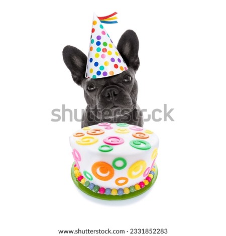french bulldog dog hungry for a happy birthday cake ,wearing party hat , isolated on white background