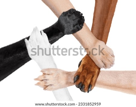 five paws like in a multicultural team circle shaking hands united for the same cause and goal, isolated on white background