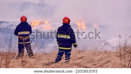 Spring forest fires are raging. Burning dry grass, reeds in the field. Grass is on fire in the meadow. Ecological catastrophy. Firefighters extinguished a large fire. Royalty-Free Stock Photo #2331853193