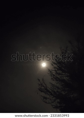 A picture of full moon at night