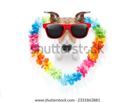 jack russell dog in love for happy valentines day with rainbow flower chain in heart shape , looking up in wide angle