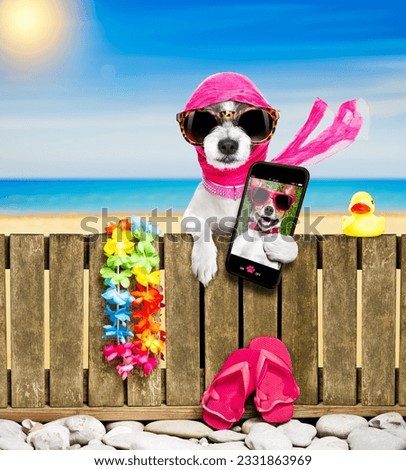 terrier dog resting and relaxing on a wall or fence at the beach ocean shore, on summer vacation holidays, wearing sunglasses, taking a selfie with smartphone or mobile phone