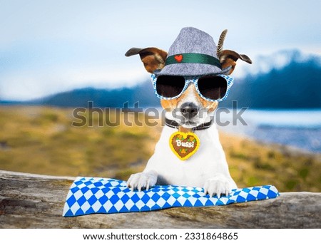 bavarian jack russell dog outdoors by the river and mountains , ready for the beer party celebration festival in munich