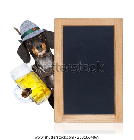 bavarian dachshund or sausage dog with gingerbread and mug isolated on white background , toasting for the beer celebration festival in munich