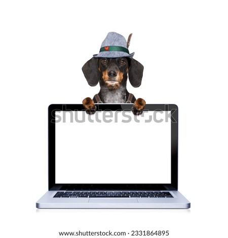 bavarian dachshund or sausage dog behind pc laptop computer laptop screen , ready for the beer celebration festival in munich