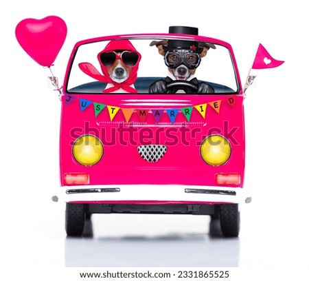 couple of two dogs driving a pink car or van just married, on gay pride day or csd