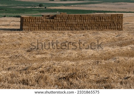Hays bales in the field