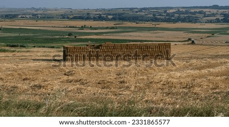 Hays bales in the field