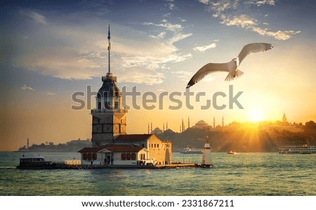 Seagull fliying near Maiden-s Tower in Istanbul at sunset, Turkey