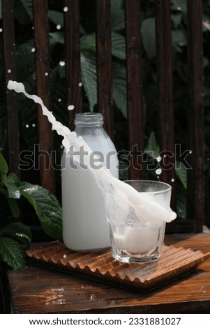 water splash of coconut milk