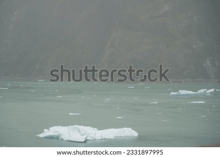 Gorgeous Mountain Scenery and glacier water of Alaska