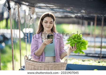 Beautiful female farmer checking quality and quantity of organic hydroponic vegetable from the rooftop greenhouse garden and planning  organic farm.