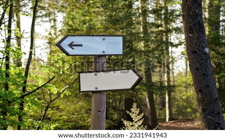 Signposts installed in the middle of the forest Royalty-Free Stock Photo #2331941943