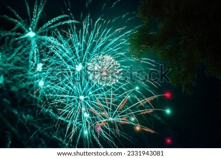 A colorful fireworks display in the night sky
