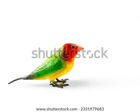 Miniature red green lovebird isolated on white