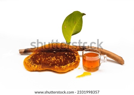 Honeycomb on a branch and honey in a glass on a white background