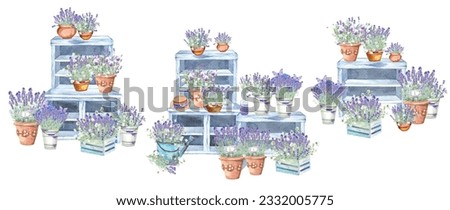 Lilac lavender in vintage pots. Lavender farm. Butterfly. Clip art set, wild flowers, floral elements, Stock illustration on a white background. Hand painted in watercolor.