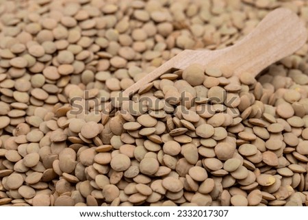 Green lentils on wooden spoon. Legumes as background. close-up raw green lentils