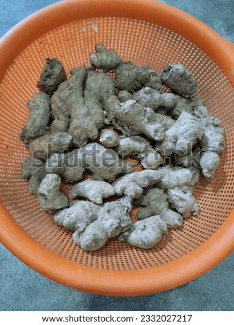 These are ginger spices be used with cooking curry. 