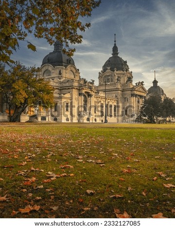 Autumn picture of the Széchenyi spa in Budapest.