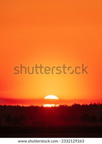 Big Sun Over Horizon Woods Or Forest. Dark Silhouette Of Trees On Orange Yellow Sunrise Background. Bold Bright Orange Sunset Sky. Natural Colors Of Evening Sky At Sunset. Nature Forest Landscape. Royalty-Free Stock Photo #2332129263