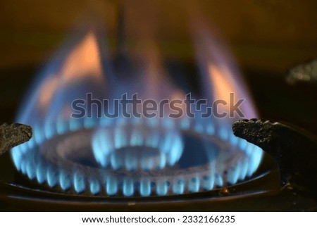 The picture of fire image
