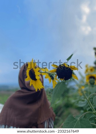 Sunflower with a young lady in the garden