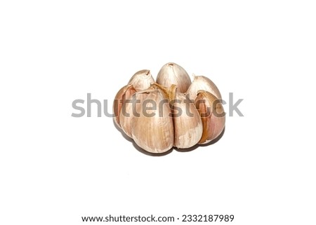Close up picture with garlic put on white background with concept isolated.garlic is important for cooking food.