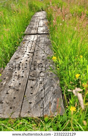 Wooden footpath in the middle of a meadow with yellow flowers, grass and fresh summer plants 
