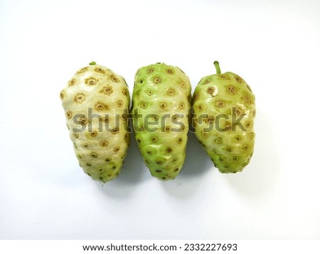 Noni or Morinda Citrifolia fruits or mengkudu isolated on white background with clipping path (Rubiaceae Noni, great morinda, indian mulberry, beach mulberry, cheese fruit, Gentianales)