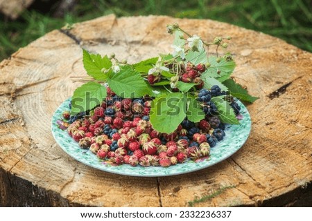 Plate with forest berries on a tree stump