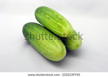 Fresh and Appetizing: A tantalizing green fresh cucumber,captured with an artistic touch to showcase its natural texture and captivating color nuances. Ideal for enhancing culinary, health, or organic