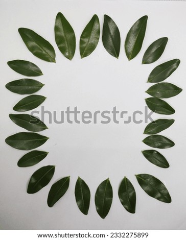 The leaves were arranged in a picture frame.