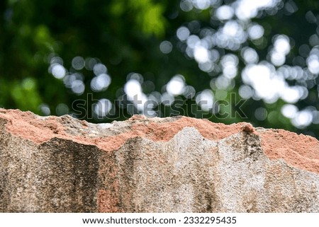 moss on a rock, moss on a tree, wall of bricks, blurred background