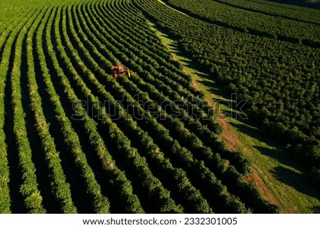 Aerial view of coffee mechanized harvesting in Brazil. Royalty-Free Stock Photo #2332301005