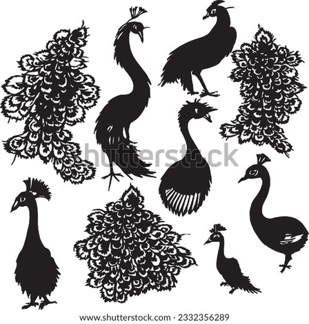 Peacock silhouette set in white background
