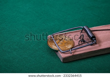 Mousetrap with a golden bitcoin on a colored background. Soap bubble cryptocurrency. Risks and Dangers of Investing in Bitcoin