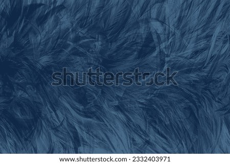  blue black feather abstract texture pattern background